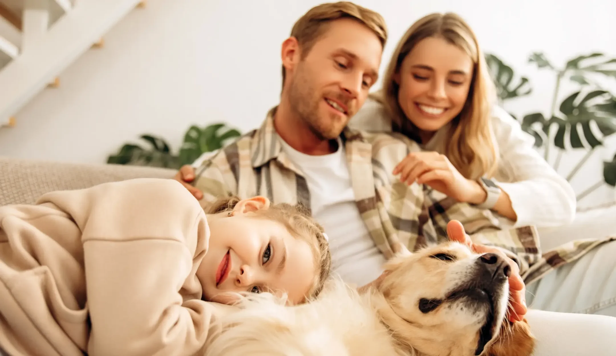 Designing a Path to Wellness